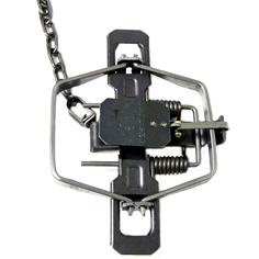 Bridger 2 Coil Spring Trap