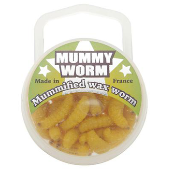 Mummy Worms