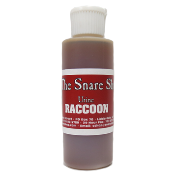 Raccoon Urine